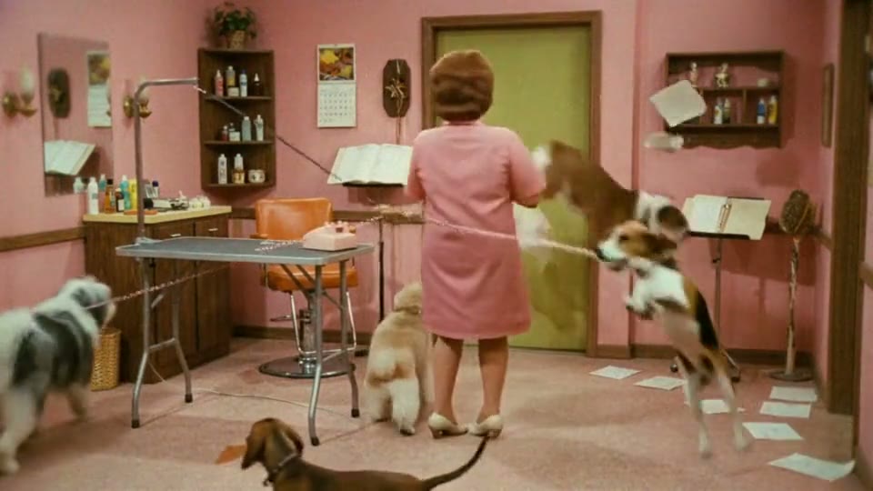 Dog Groomer, latest version